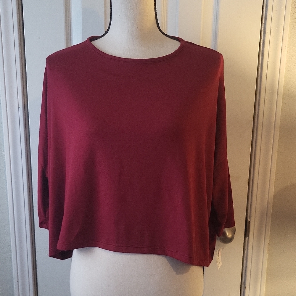 Erge Maroon Cropped Top